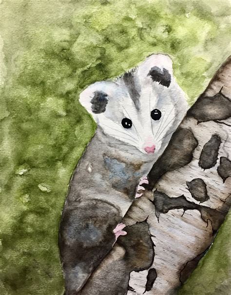 Possum Love Original Watercolor of a Baby Opossum 8x10 - Etsy