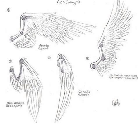 Wing reference pt. 1