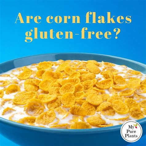 Are corn flakes gluten-free? (incl. 13 GF cereal brands) - My Pure Plants