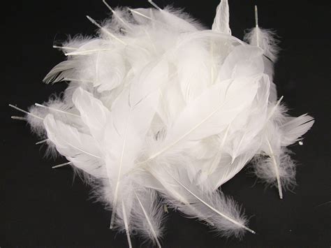 Goose Nagoire plumage Feathers Bulk – Jaffe