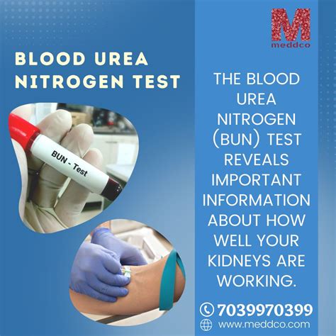 Blood Urea Nitrogen Test