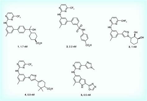 Aminopyrimidine SYK inhibitors. SYK IC 50 binding potency is shown for ...