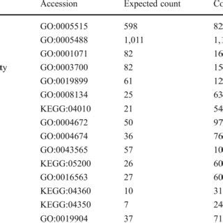 Overview of different types of microRNA databases | Download Table