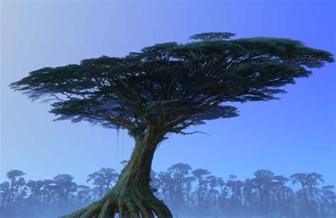 Hometree | Avatar Wiki | Fandom