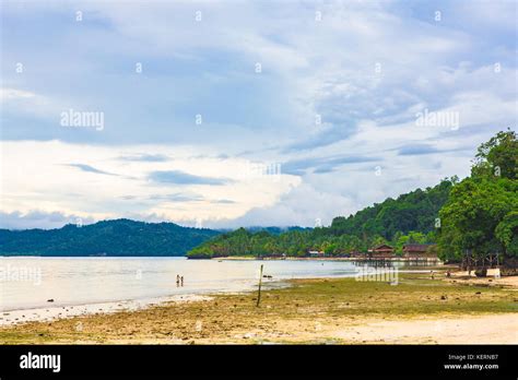 Beach in Raja Ampat, West Papua, Indonesia Stock Photo - Alamy