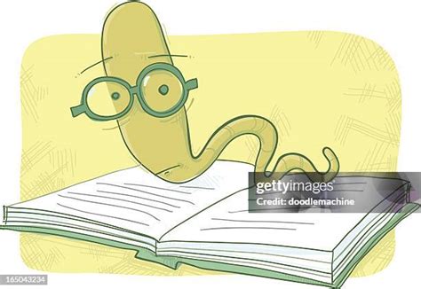 Bookworm (Insect) Photos and Premium High Res Pictures - Getty Images