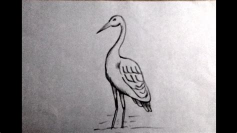 Crane Drawing Simple - joanamtfjoana