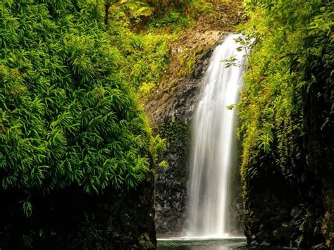 10 magnificent waterfalls in Fiji worthy of a hike - International ...