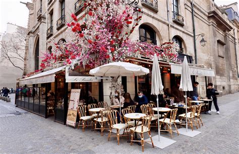 30+ Best And Most Beautiful Cafes In Paris - The Geographical Cure