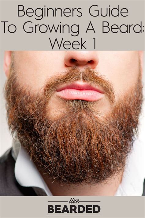 How To Grow A Full Beard Quickly | Beard tips, Grow beard, Beard growth