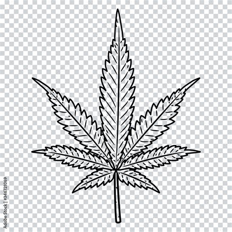 Cannabis leaf isolated on a transparent background. Marijuana leaf ...