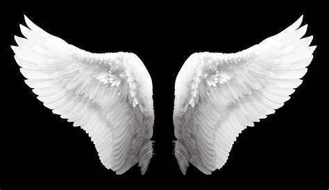 Free photo: White Angel Wings - Angel, Feathers, White - Free Download ...