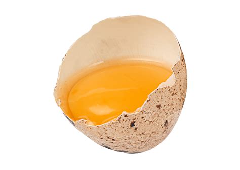 broken egg isolated 11190614 PNG