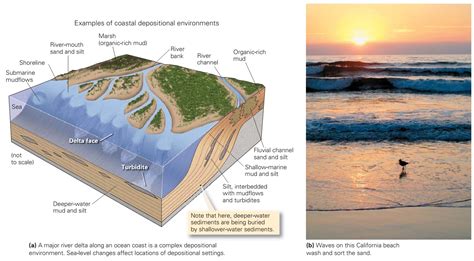 Learning Geology: Recognizing Depositional Environments