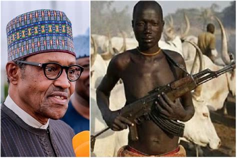 The Fulani herdsmen crisis – A problem conceived by greed and ...