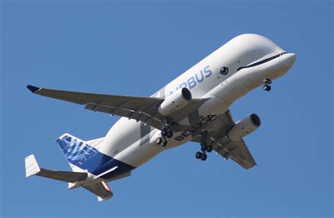 Beluga XL Airbus replaced the Airbus Beluga - A cargo aircraft