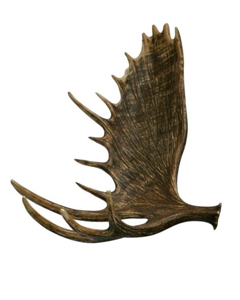 Moose Faux Antler | Cast Horn Designs