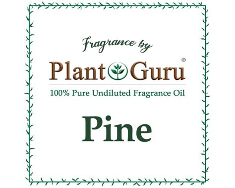 Pine Fragrance Oil