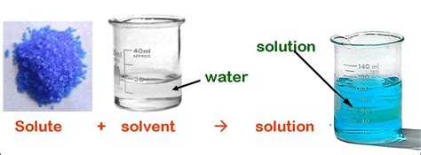 what is a solution solvent and solute - DriverLayer Search Engine