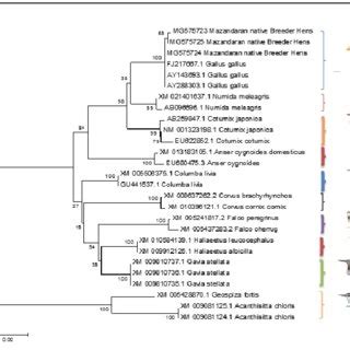 Schematic representation of identified SNPs within HSP70 gene in ...