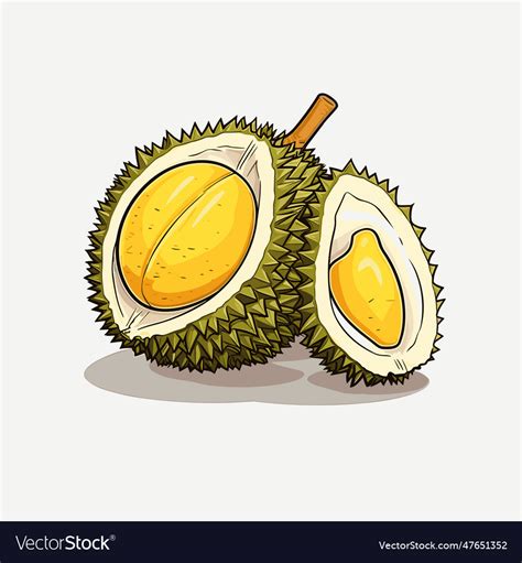 Durian hand-drawn doodle style cartoon Royalty Free Vector