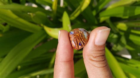 Boulder Opal, from Australia video