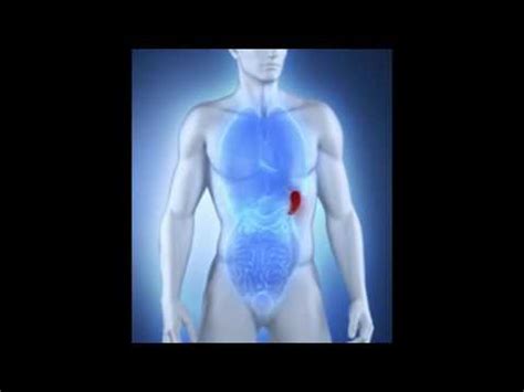 Spleen Pain Symptoms - YouTube