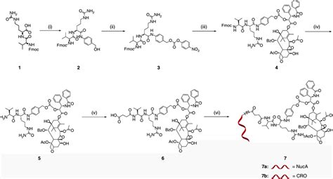 Synthesis of aptamer-paclitaxel conjugates. Note for reagents and ...