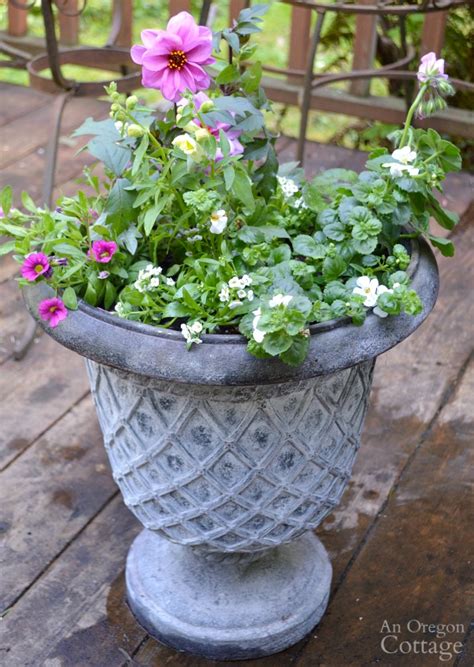 Simple Flower Pot Design for Sun {with Basic Garden Center Plants} | An ...