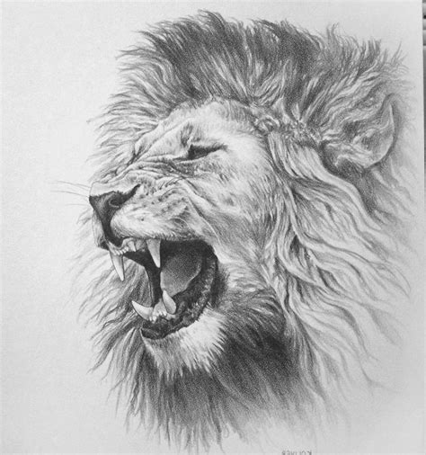 pencil-drawings-pinterest-awesome-drawings-of-lions-roaring-lion-pencil ...