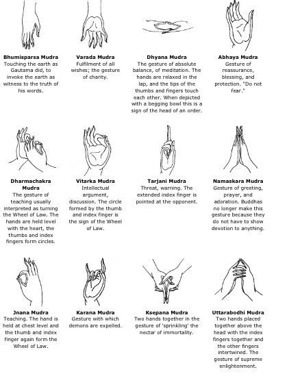 Pin by Erin Blair on My Spirit | Mudras, Buddhism, Buddhism meditation