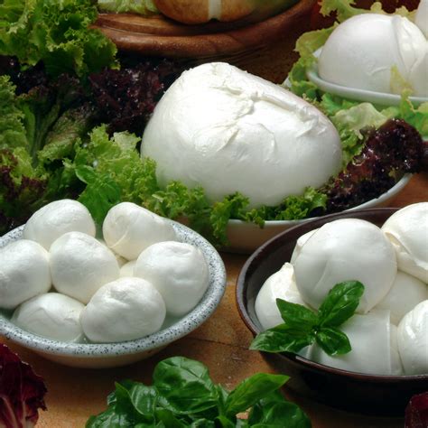 Mozzarella di Bufala Campana, not only “mozzarella” | Italian Food ...