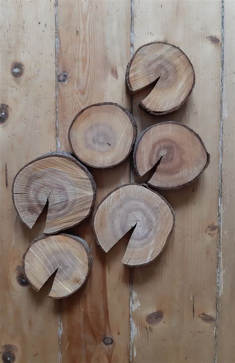 Wooden Coasters Slices of Wood Plum Tree Slices Set of 6 With - Etsy