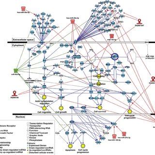 PTEN signaling pathway deregulation in asthmatic patients. Gene ...