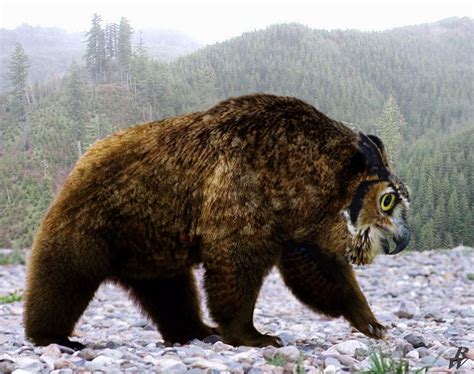 Owlbear by Dwarf4r on DeviantArt