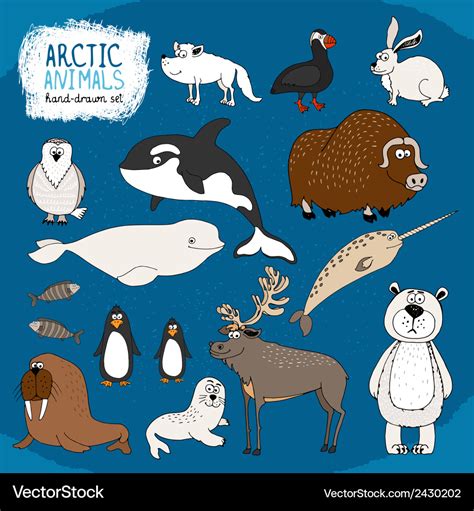 Set of hand-drawn arctic animals Royalty Free Vector Image