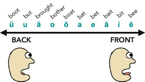 Back Vowels and Front Vowels - Spectrum | Names, Teaching, Brand names