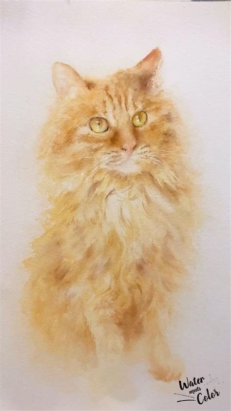 Cat in watercolor painting 🐱 | Watercolor cat, Original watercolor art ...