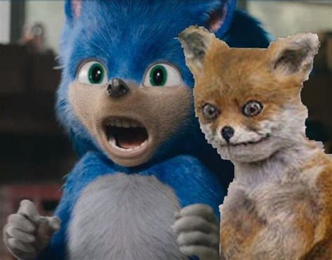 Leaked photo of Sonic along with Tails from the live action film : r/memes