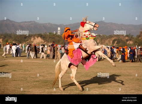 Nihang or Sikh warrior on horse during Hola Mohalla celebration at ...