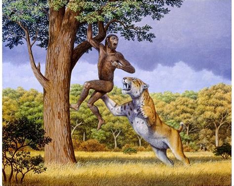 Scimitar cat attacking a hominid. 10 inch Photo. Scimitar cat attacking ...