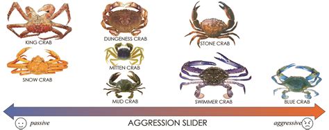 crab types