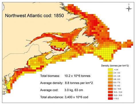 Atlantic Cod: Past and Present | Sea Around Us