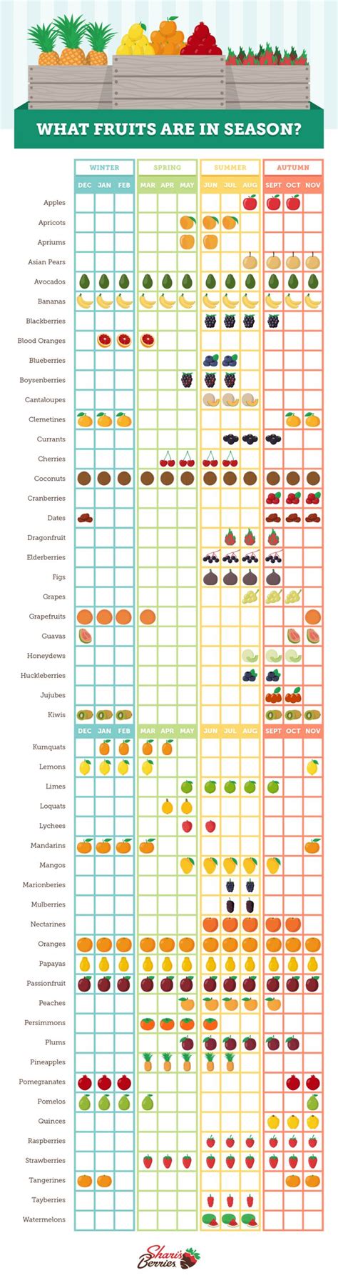 What Fruits Are In Season? Easy Reference Chart | Fruit season chart ...