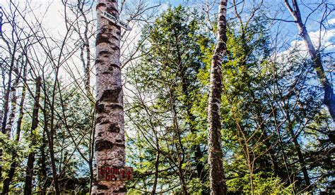 FAVORITE SPRINGTIME HIKES — Manchester Vermont