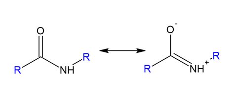 Amide Functional Group