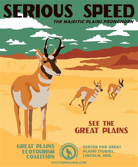 Introducing the pronghorn poster, “Serious Speed” | Visit The Prairie ...