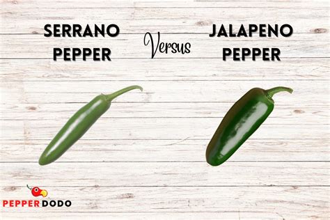 Chile Serrano: Not The Same As Jalapeno Peppers - Pepperdodo