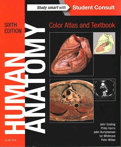 20 Best Anatomy Books For Medical Students (2023 Update) - Los Angeles ...