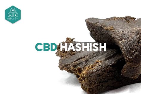 Understanding the Effects of Hashish: What You Need to Know | CBD Alchemy